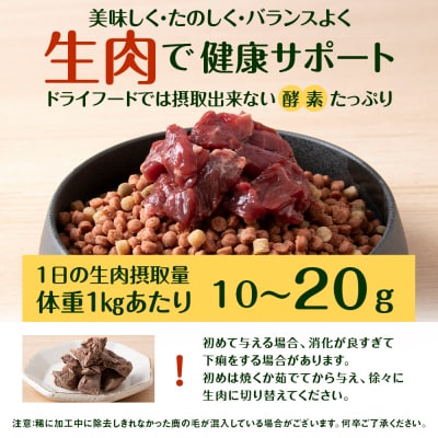 犬 おやつ 鹿肉 冷凍エゾシカ生肉 1kg (200g×5パック)