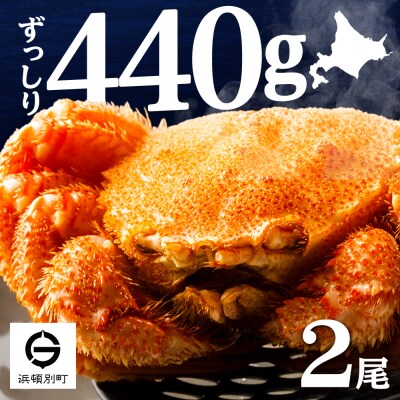 ☆北海道産 毛ガニ 約440g×2尾 セット かに 蟹 毛蟹 冷凍 北海道産 浜頓別町