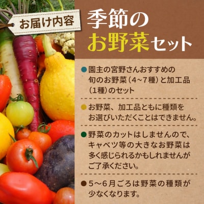 【アグロノーム】お一人様向け、お試し季節のお野菜セット※2024年7月以降発送開始