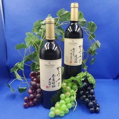 サントネージュかみのやまワインのみ比べ　2本セット　0141-2621