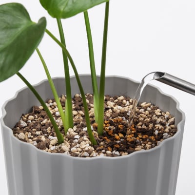 穏やかに育つ観葉植物の土 10L IHPC-10L