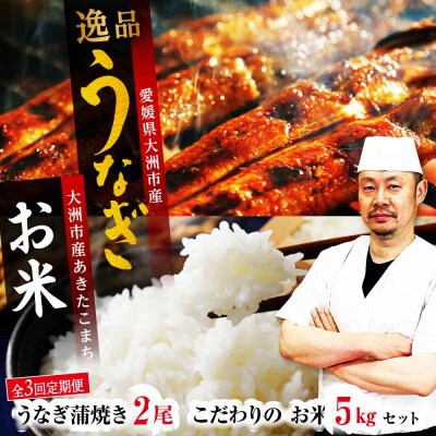 【全3回定期便】秘伝のタレ!「うなぎ蒲焼2尾」とこだわりの「お米5kg」セット[AGAH008]