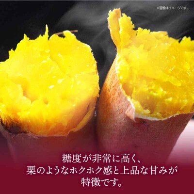 【先行受付】【8月中旬から順次発送】さつまいも(金時)5kg [AGAP012]