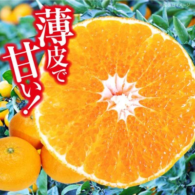 【贈答用】【先行受付】【1月下旬より順次発送】甘平 2.5kg L・2Lサイズ [AGAR014]