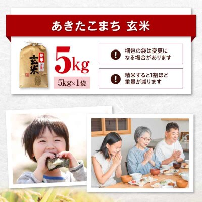 米食味鑑定士×お米ソムリエ!【玄米】あきたこまち 5kg [AGAV023]