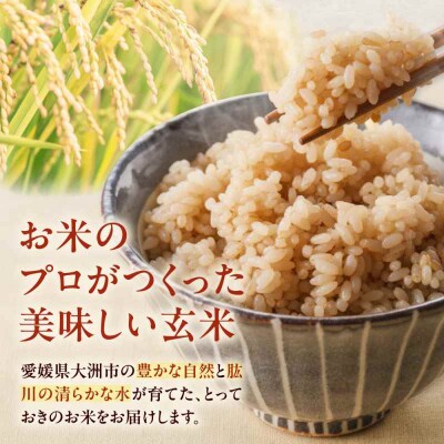 米食味鑑定士×お米ソムリエ!【玄米】あきたこまち 10kg [AGAV024]