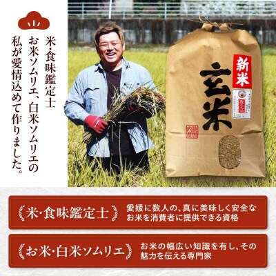 米食味鑑定士×お米ソムリエ!【玄米】あきたこまち 10kg [AGAV024]