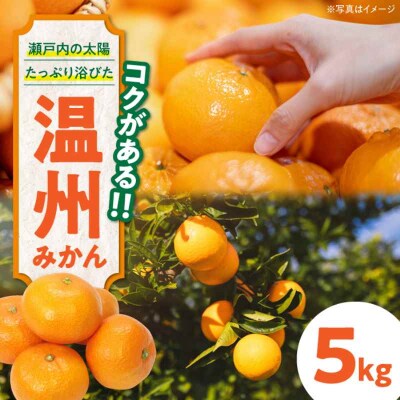 【先行受付】【11月下旬から順次発送】新鮮!温州みかん(南柑20号)5kg [AGAW001]