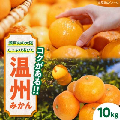 【先行受付】【11月下旬から順次発送】新鮮!温州みかん(南柑20号)10kg [AGAW002]