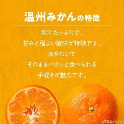 【先行受付】【11月下旬から順次発送】新鮮!温州みかん(南柑20号)10kg [AGAW002]