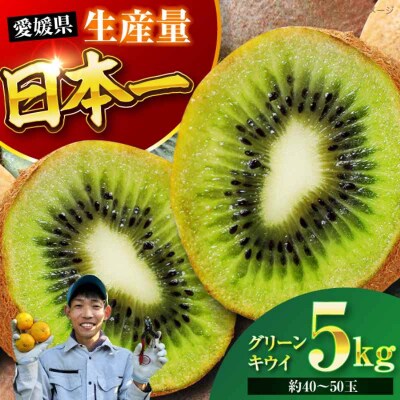 【先行受付】【11月中旬より順次配送】グリーンキウイ 5kg(約40から50玉)[AGBC007]