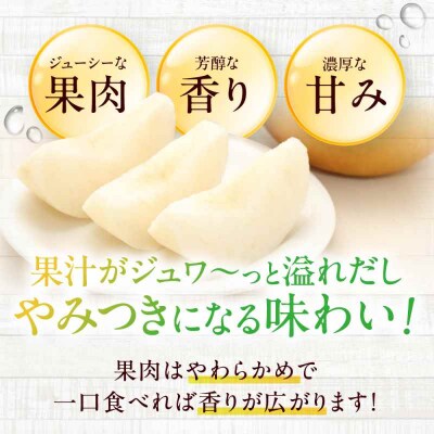 【先行受付】【10月上旬から順次発送】特大新高 梨2kg(4個から6個入り)[AGBD001]