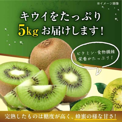 【先行受付】【11月上旬より順次発送】キウイフルーツ 約5kg [AGBN002]