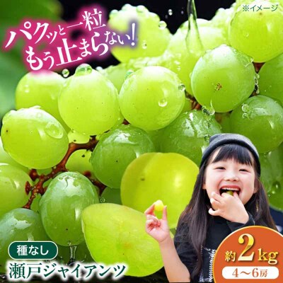 【先行受付】【8月下旬から順次発送】瀬戸ジャイアンツ 2kg(4から6房)[AGDB003]