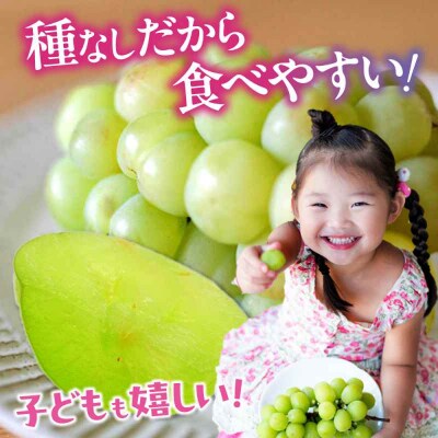 【先行受付】【8月下旬から順次発送】瀬戸ジャイアンツ 2kg(4から6房)[AGDB003]