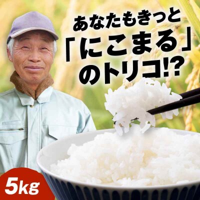【先行受付】【10月下旬頃から順次発送】 にこまる 精米 5kg [AGDM001]