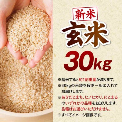 【先行受付】【9月中旬から順次発送】玄米 30kg [AGEI001]