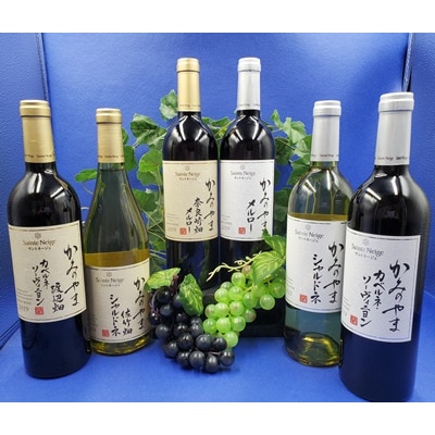 サントネージュかみのやま産葡萄のワイン満足セット(750ml×6本)　0141-2624