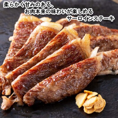＜定期便4回＞ 北海道産 黒毛和牛 みついし牛 ヒレ&サーロインステーキ定期便