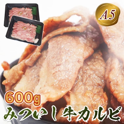 北海道産 黒毛和牛 みついし牛 A5焼肉用カルビ計600g(300g×2)