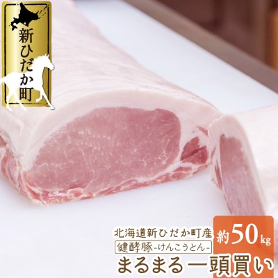 北海道産 健酵豚 まるまる 一頭買い 計 約50kg