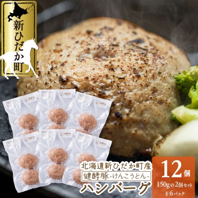 北海道産 健酵豚 ハンバーグ 12個