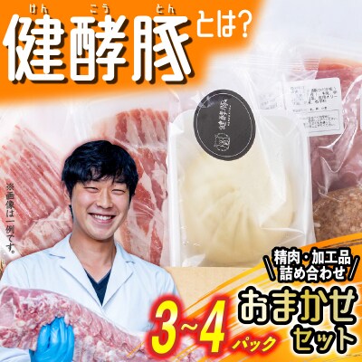 北海道産健酵豚 加工品ありおまかせセット 3~4パック