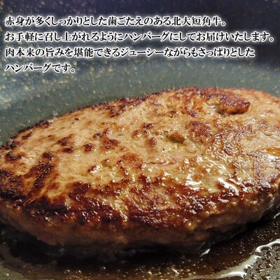 北海道産 北大短角牛 ハンバーグ 計1080g(180g×6枚)