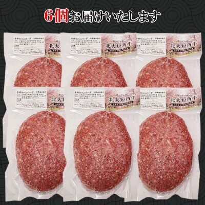 北海道産 北大短角牛 ハンバーグ 計1080g(180g×6枚)