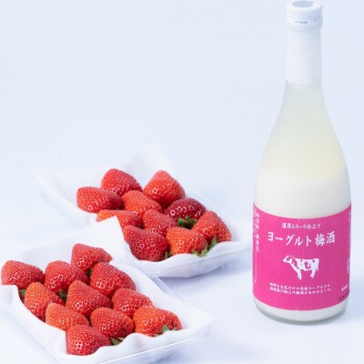 【冬】ヨーグルト梅酒720ml×あまおう 約250g×2パック《糸島》