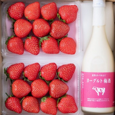【冬】ヨーグルト梅酒720ml×あまおう 約250g×2パック《糸島》