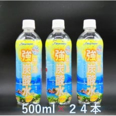 糸島強炭酸水レモン 500ml×24本
