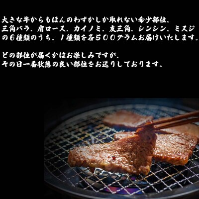 北海道産 黒毛和牛 こぶ黒 A5焼肉おまかせ希少部位1種 500g 【LC】