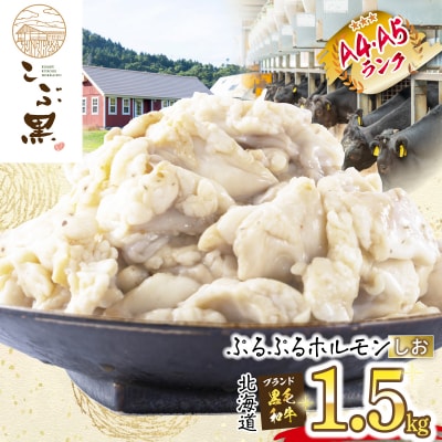 北海道産 黒毛和牛 こぶ黒 しおホルモン 計1.5kg (300g×5パック)