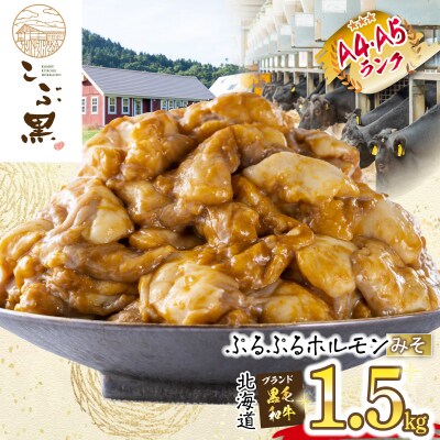北海道産 黒毛和牛 こぶ黒 みそホルモン 計1.5kg(300g×5パック)