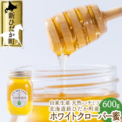 北海道産天然はちみつ ホワイトクローバー蜜600g