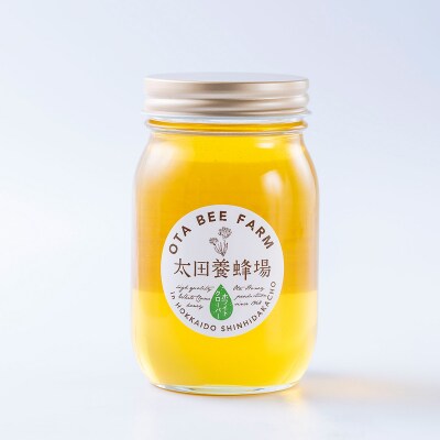 北海道産天然はちみつ ホワイトクローバー蜜600g