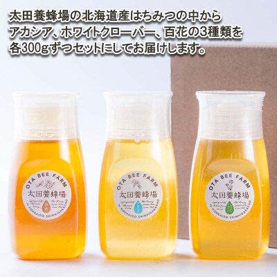 北海道産天然はちみつ3種 計900g(各300g)新ひだか町推奨品セットB