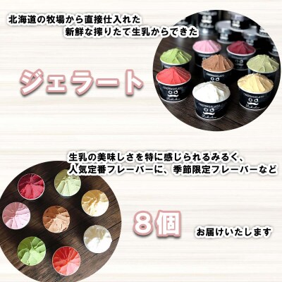 北海道産 生乳 ジェラート アイス 8個 ジェラートセット