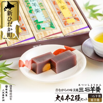 元祖三石羊羹 大4本2種詰め合わせセット