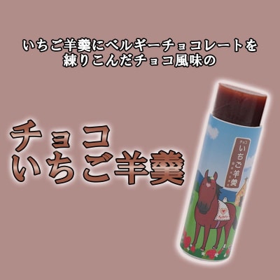 元祖三石羊羹 苺ようかん 丸筒計3種いちごお試しセット