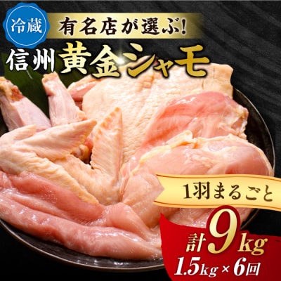 【6回定期便 】朝びき!信州黄金シャモ1羽まるごとセット(モモ肉、ムネ肉、手羽先、手羽元、ササミ)