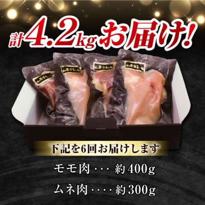 【6回定期便 】信州黄金シャモお試しセット(モモ肉、ムネ肉)約700g