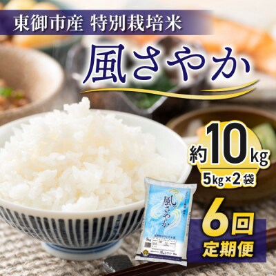 【6回定期便】東御市産の特別栽培米「風さやか」約10kg