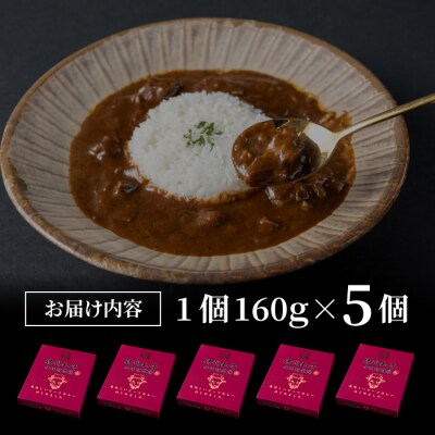 【12回定期便】小田切牧場信州和牛カレー5個セット