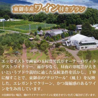 アートヴィレッジ明神館 和洋室1名様宿泊券 -右岸ワインプラン(ヴィラデストワイナリー)-