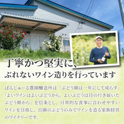 【ぼんじゅーる農園醸造所】祢津ピノ・ブラン(白ワイン)| 国産 長野県 お酒