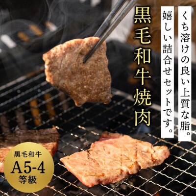 【国産 黒毛和牛 特上】秋田牛・八幡平ポーク 焼肉詰め合わせ480g|25_akm-020101