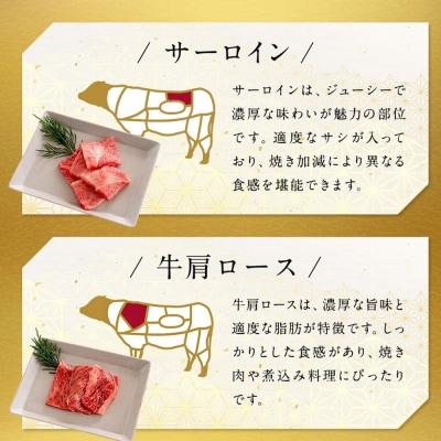 国産 牛豚鶏 特上 秋田牛・八幡平ポーク・比内地鶏 焼肉 480g|25_akm-030101