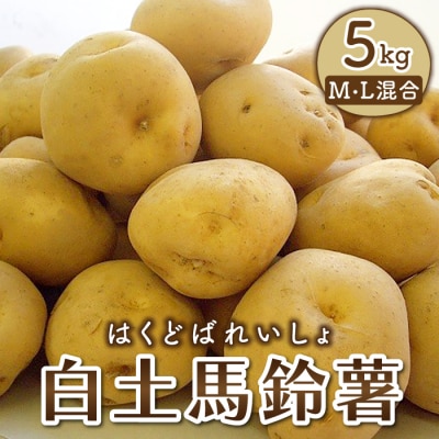 東御市産白土馬鈴薯約5kg【8～12月お届け】